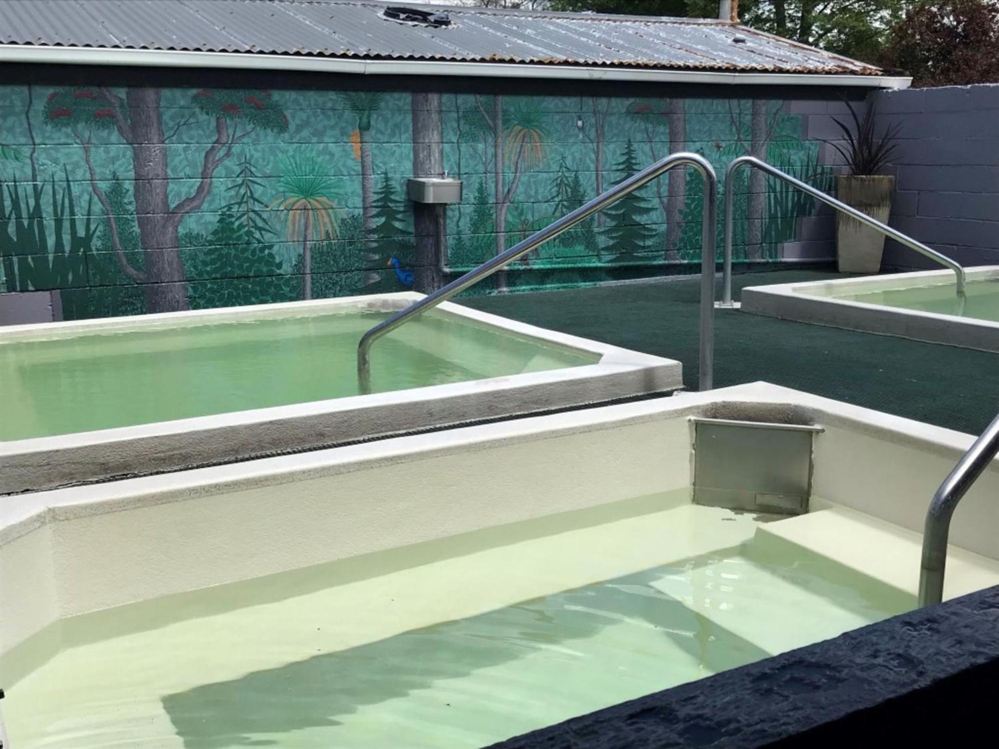 Rotorua Thermal Holiday Park Luaran gambar